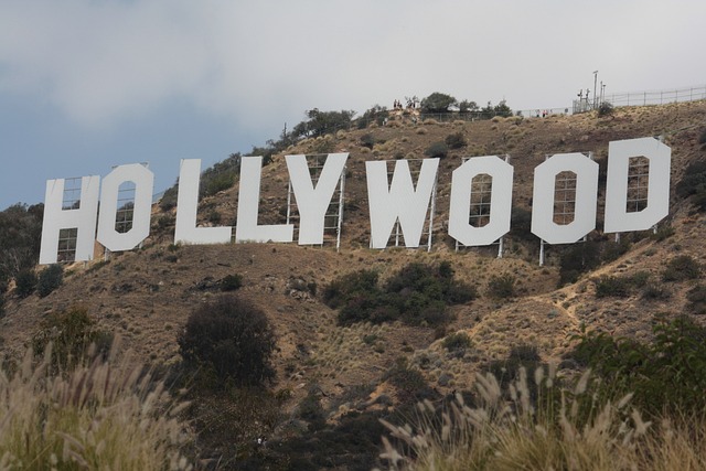 hollywood-g7a5d40296_640 LA